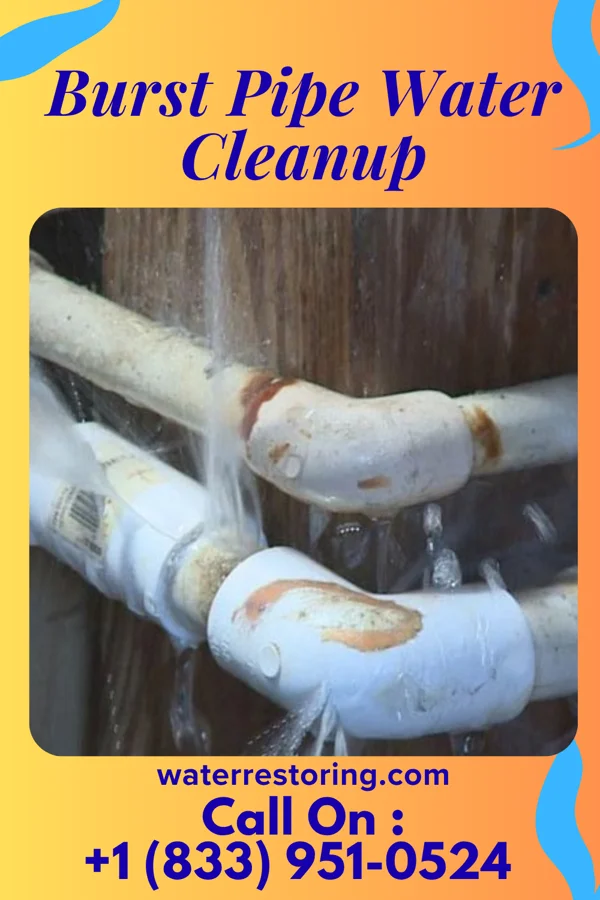 Burst Pipe Water Cleanup in West Park, NJ