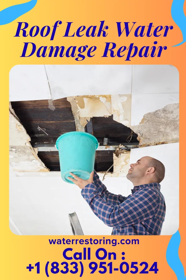 Roof Leak Water Damage Repair in West Park, NJ