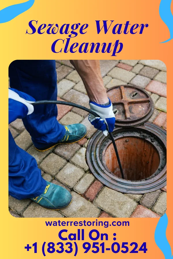 Sewage Water Cleanup in West Park, NJ