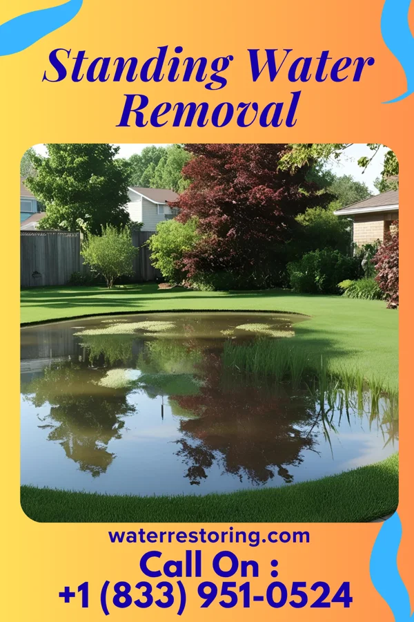 Standing Water Removal in West Park, NJ